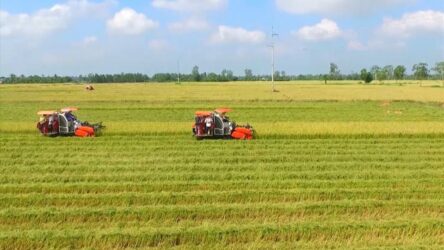 Thủ tục chuyển mục đích sử dụng đất lúa, đất rừng tại Cần Thơ